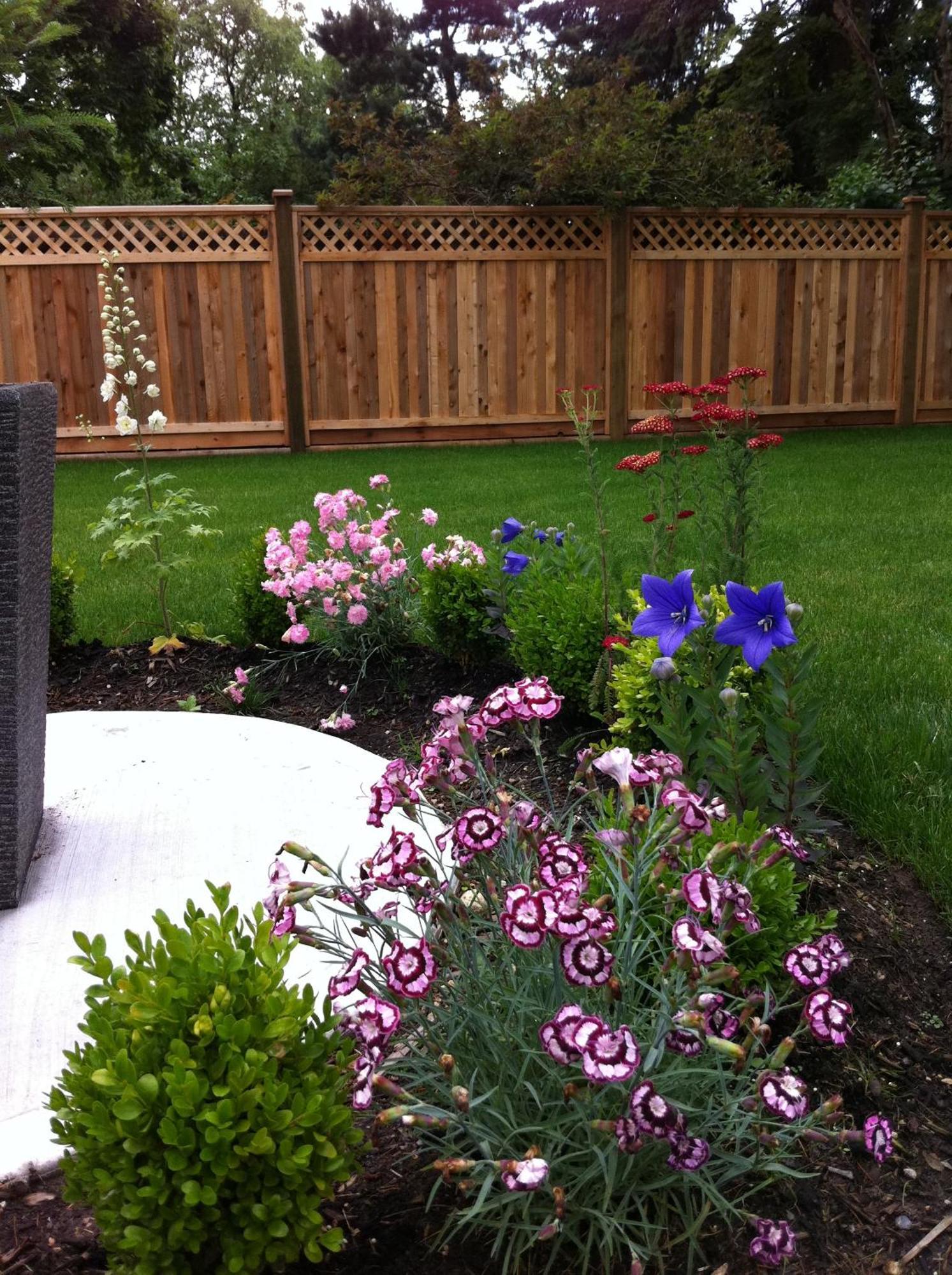 Bed and Breakfast Imperial House Burnaby Esterno foto